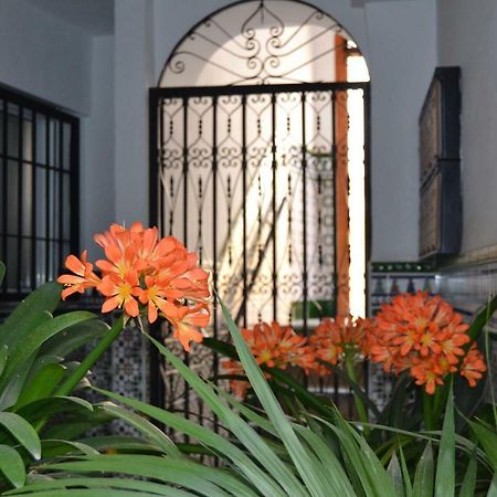 Ferienwohnung Nuevo Sueno Del Alcazar Córdoba Exterior foto