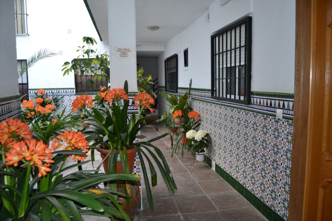 Ferienwohnung Nuevo Sueno Del Alcazar Córdoba Exterior foto