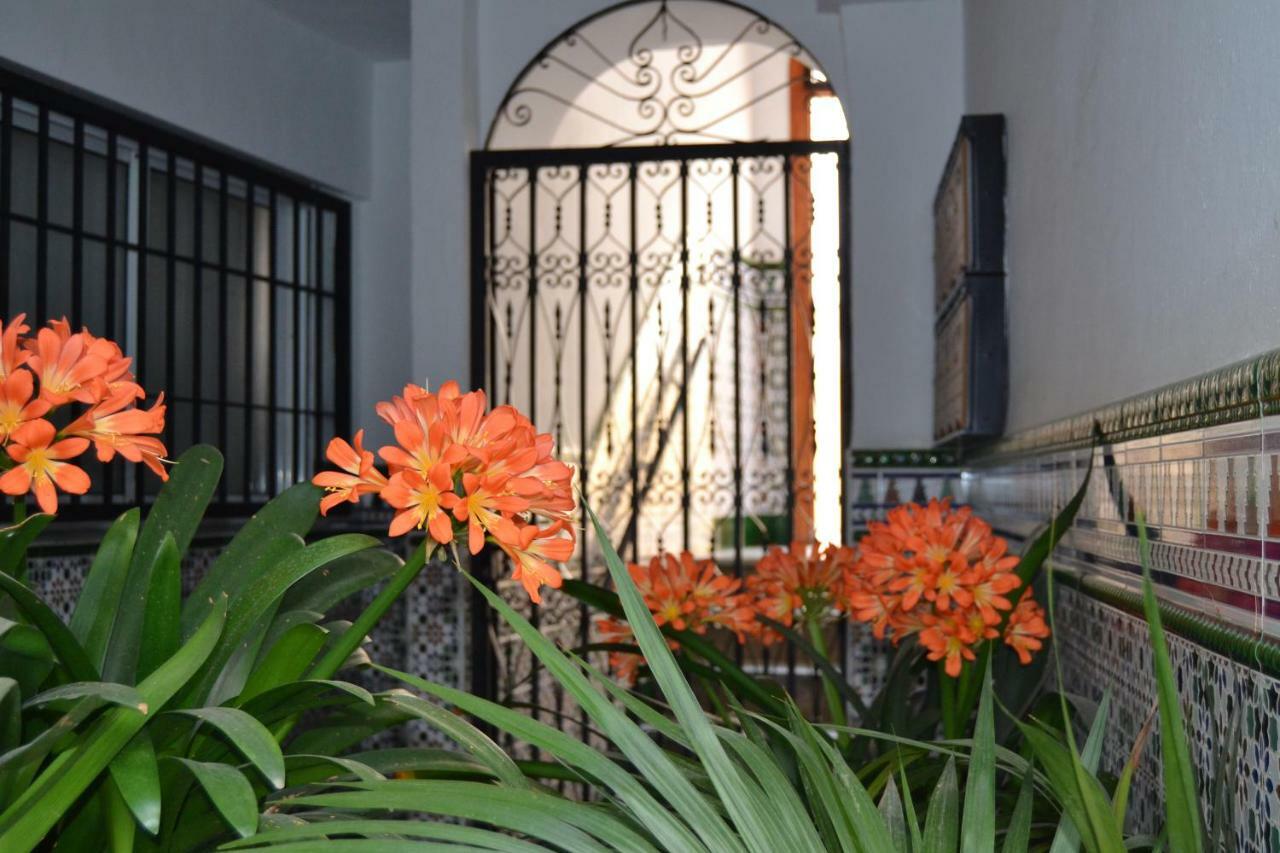 Ferienwohnung Nuevo Sueno Del Alcazar Córdoba Exterior foto