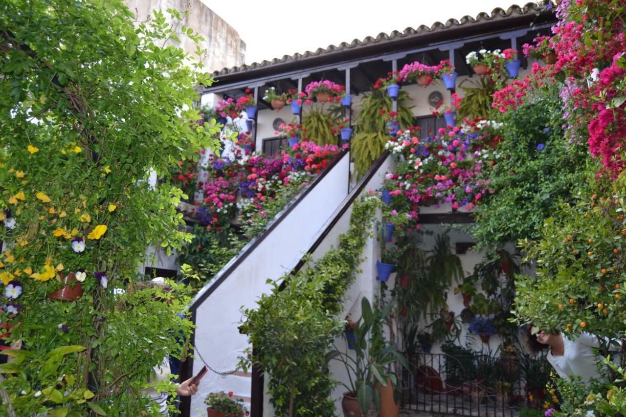 Ferienwohnung Nuevo Sueno Del Alcazar Córdoba Exterior foto